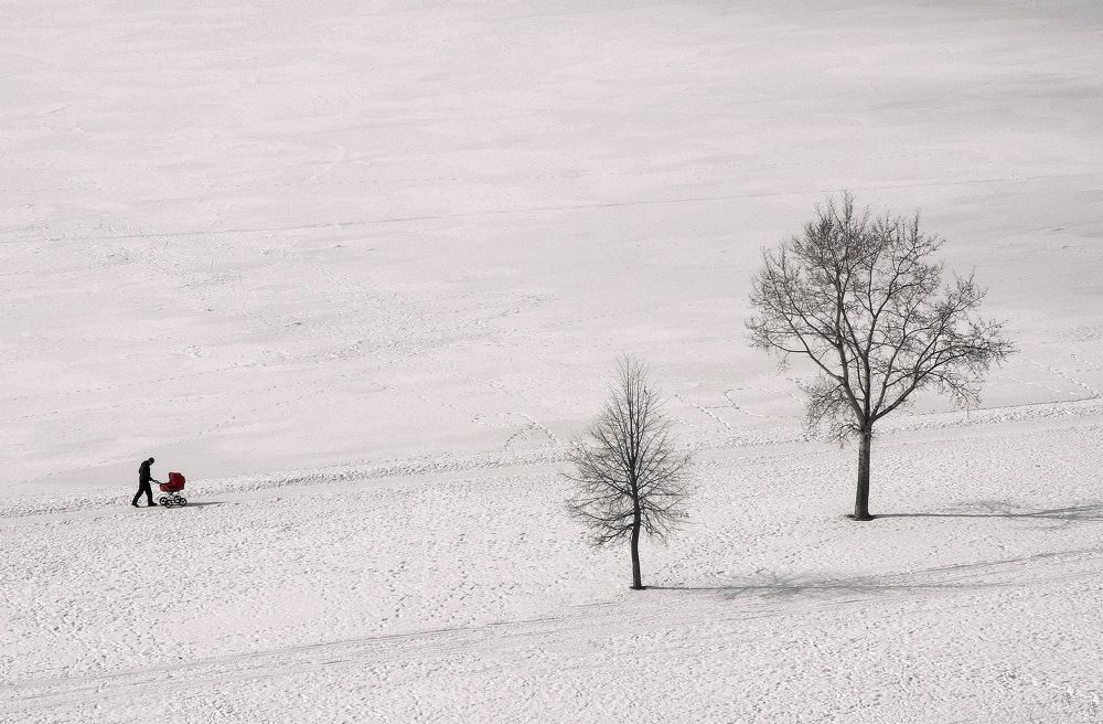 Photograph by Vladimir Bragilevsky