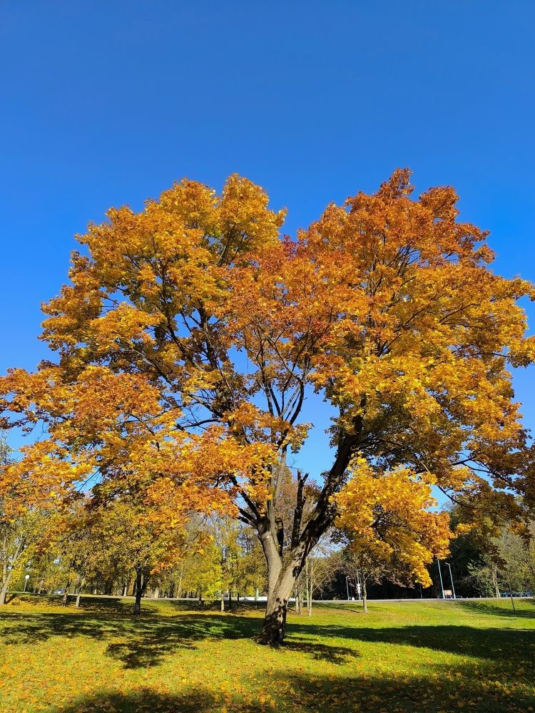 Photograph by Людмила Муравьева