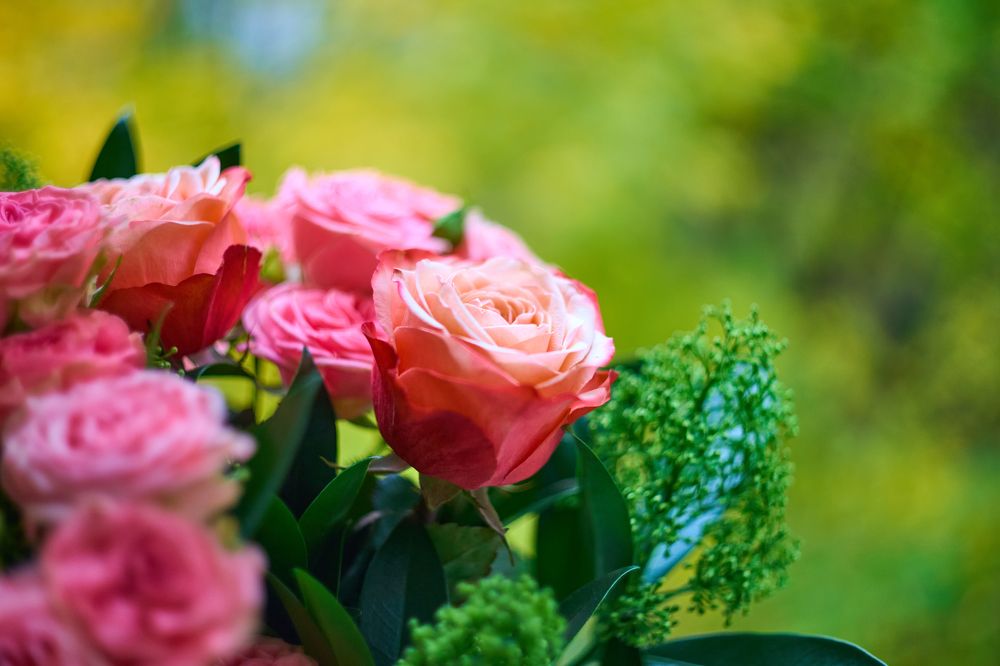 Photograph by Игорь Кад