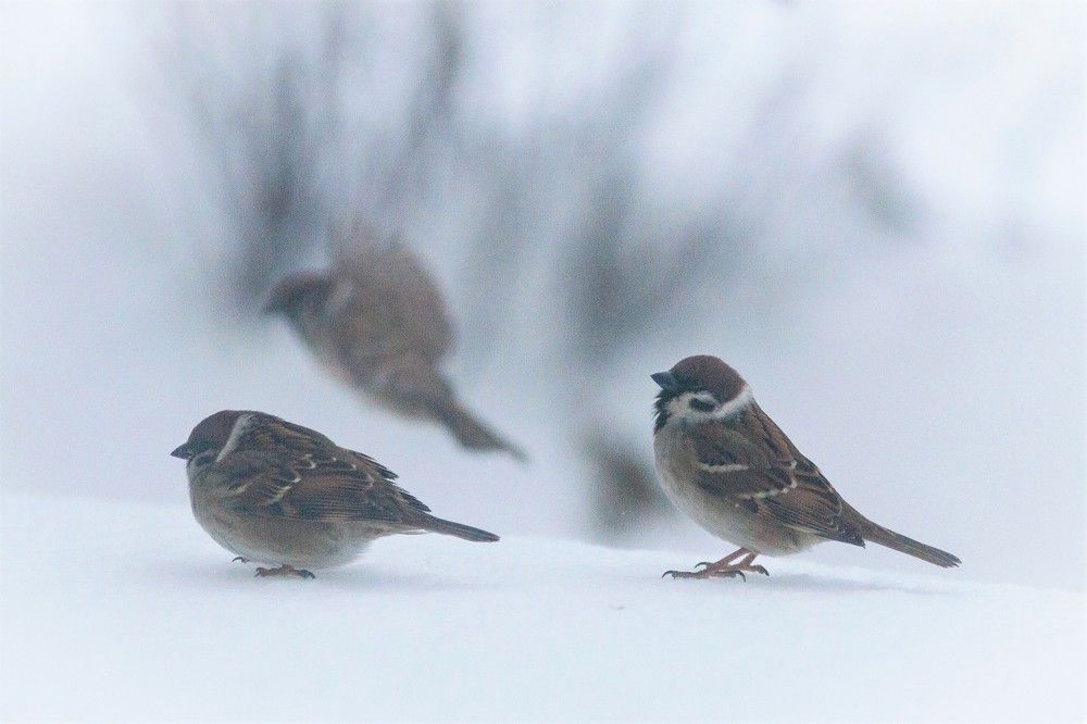 Фотография автора Юрий Кульмяков