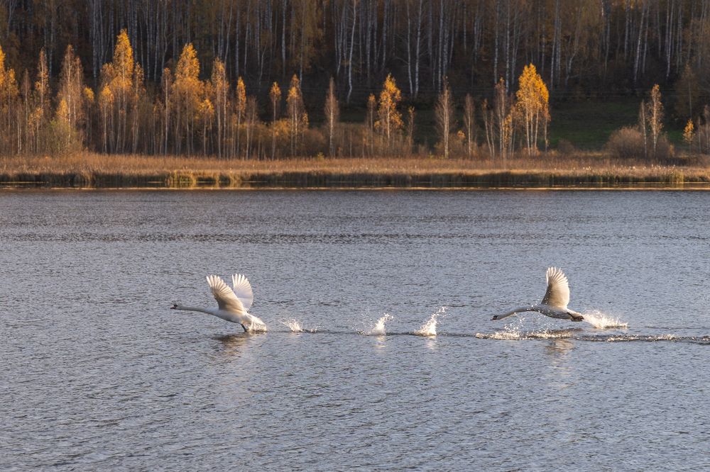 Фотография автора Виктор Громов