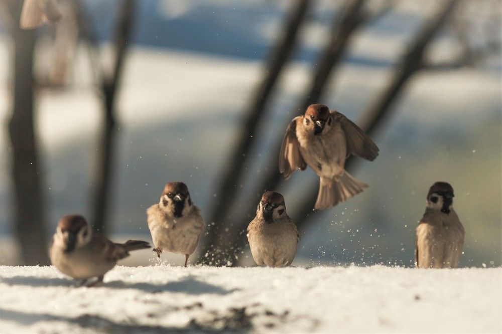 Фотография автора Юрий Кульмяков