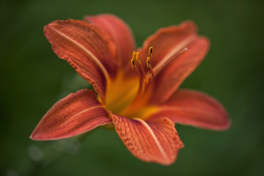 Фотография автора Юрий Кульмяков