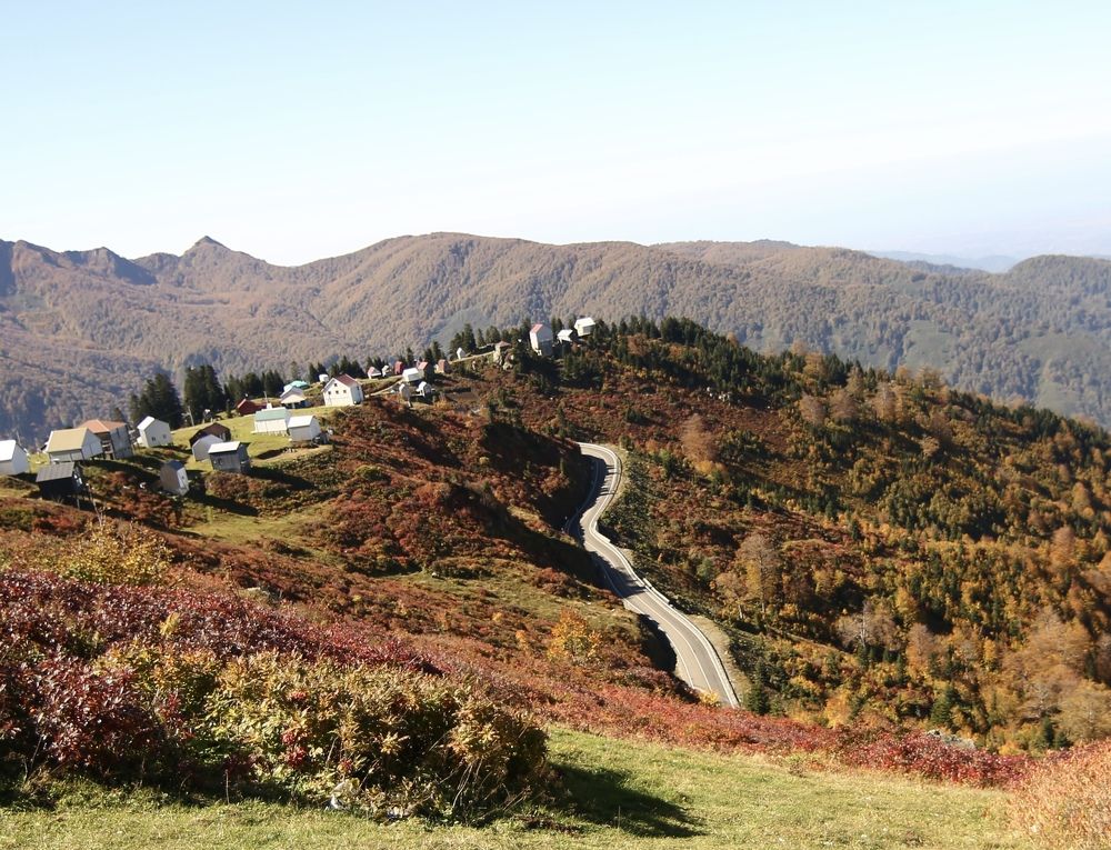 Photograph by Наталья Мутова