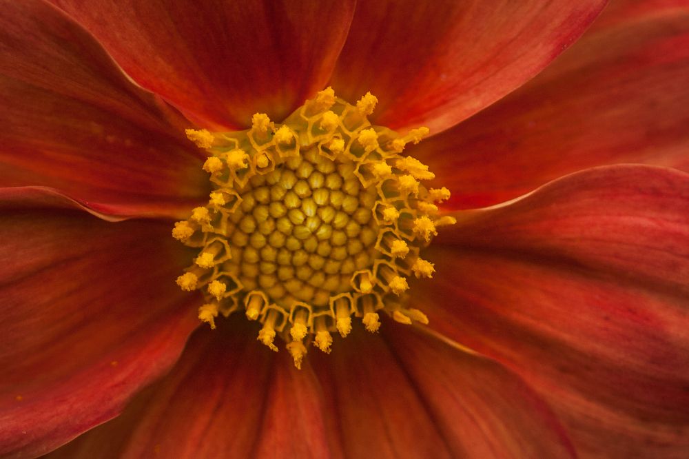 Фотография автора Юрий Кульмяков