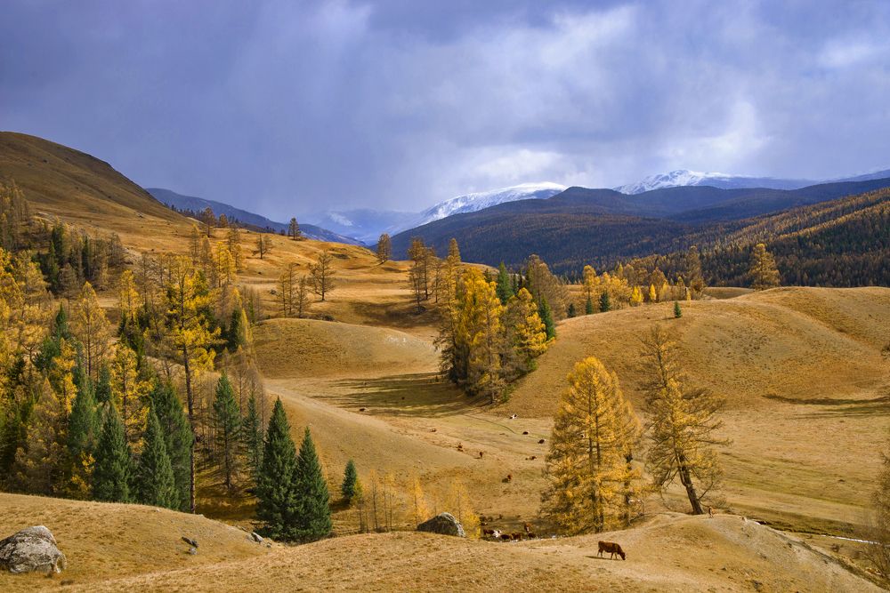 Photograph by Вадим Качанов