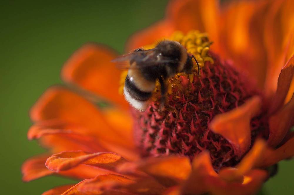Фотография автора Юрий Кульмяков