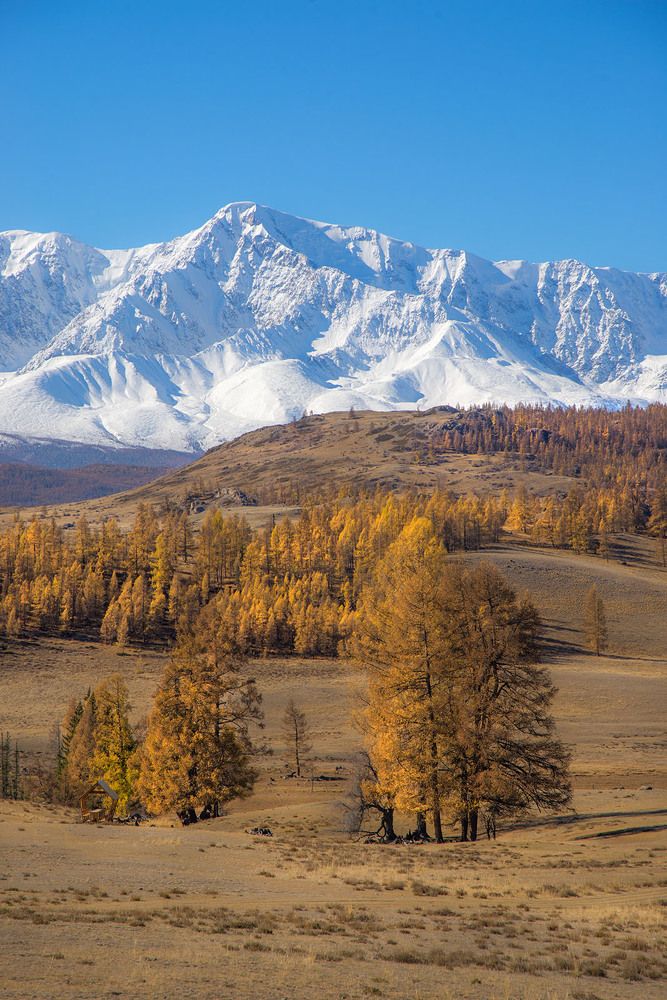 Photograph by Вадим Качанов