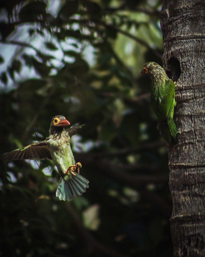 Photograph by Mithurshi Rajendran