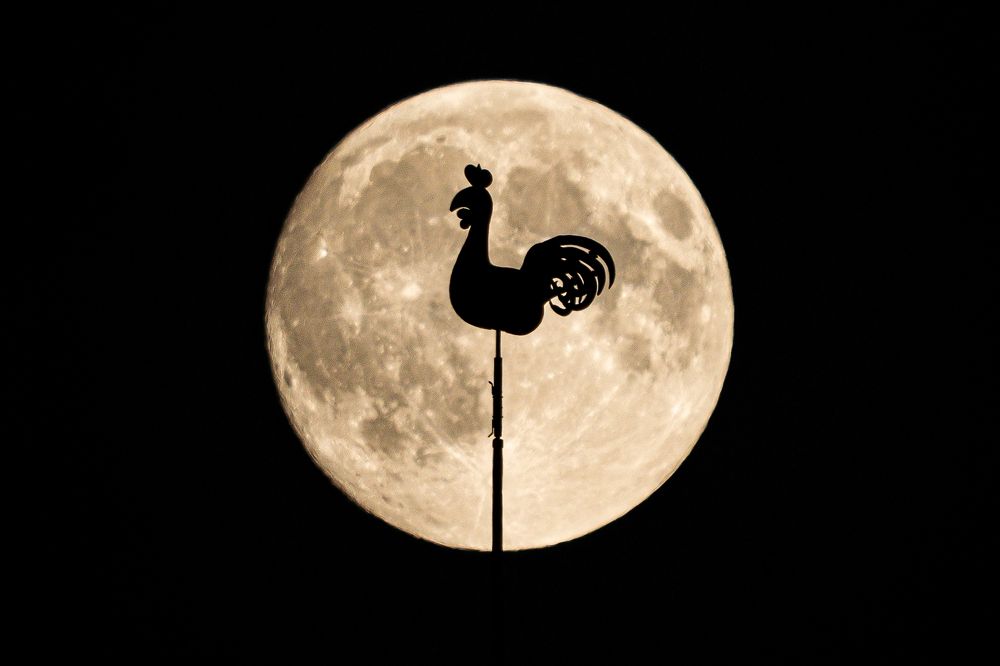 Photograph by Sergey Melkonov