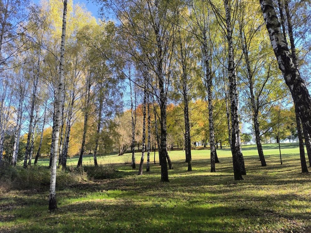 Photograph by Людмила Муравьева