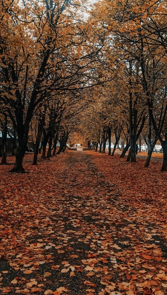 Photograph by Анна Виноградская