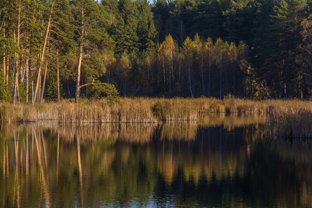 Photograph by Ольга Шуякова