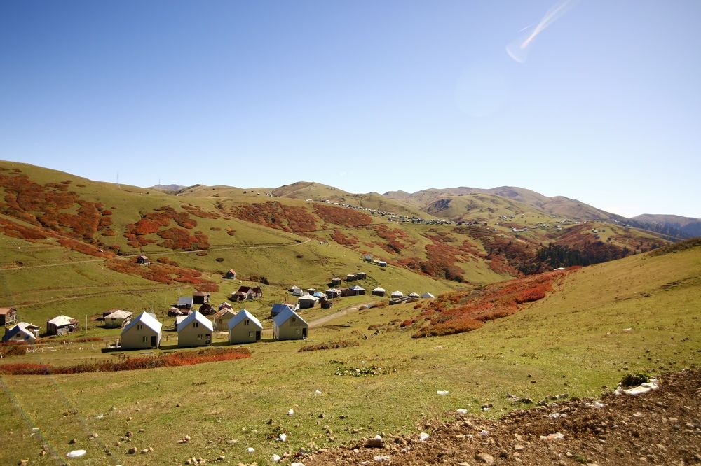 Photograph by Наталья Мутова