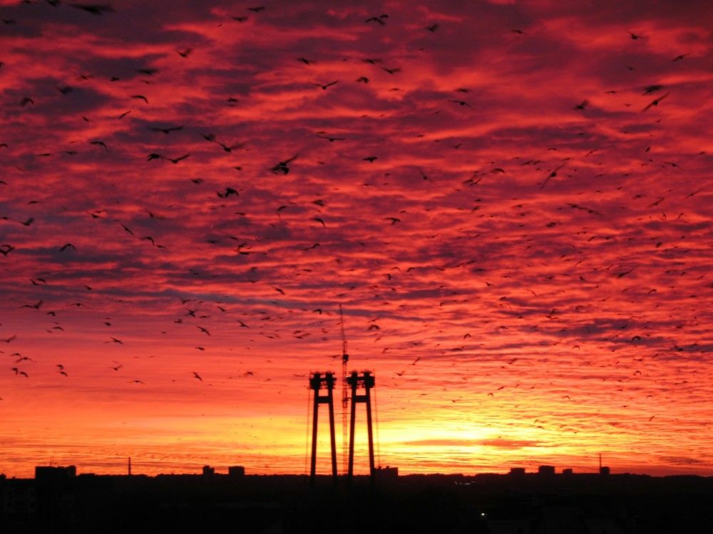 Фотография автора Евгений