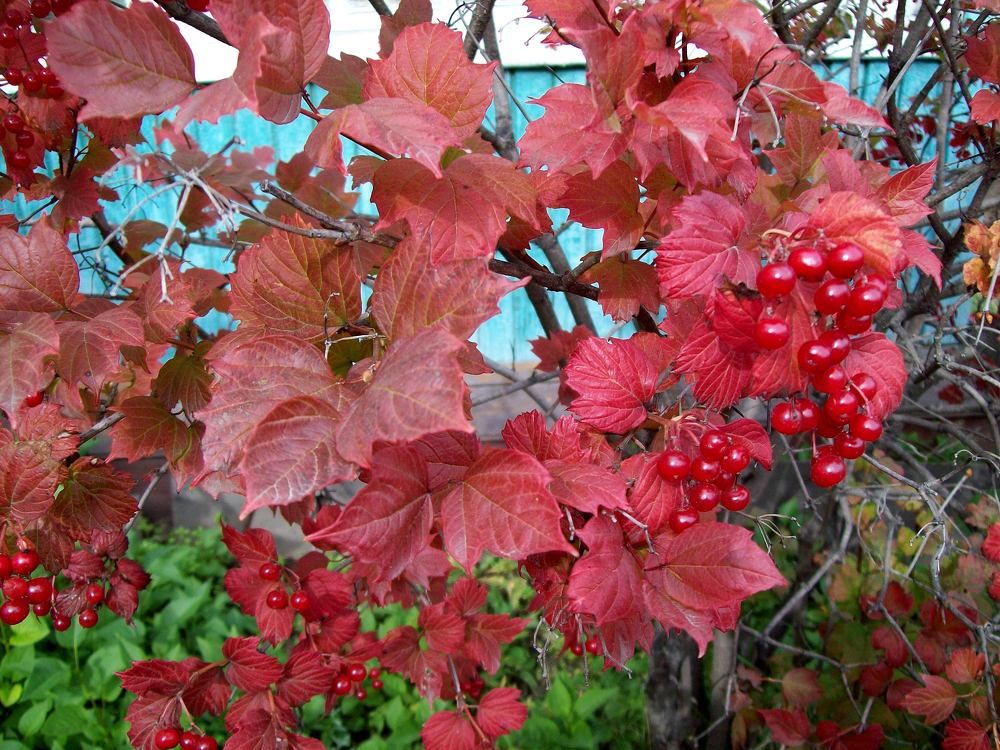 Photograph by Мигун Александра