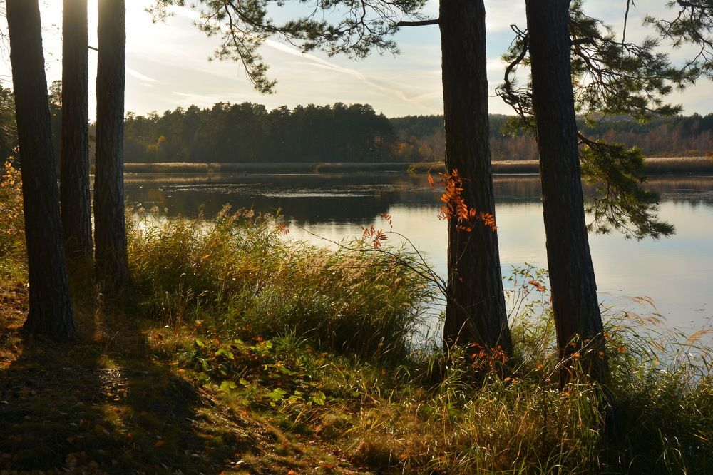 Photograph by Ольга Шуякова