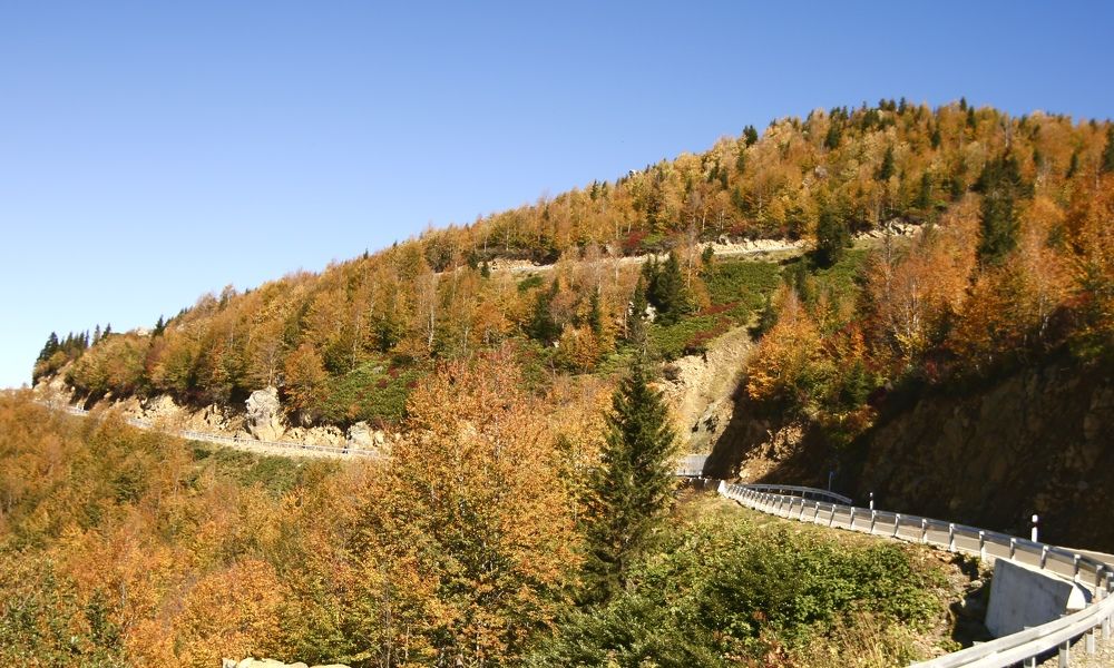 Photograph by Наталья Мутова