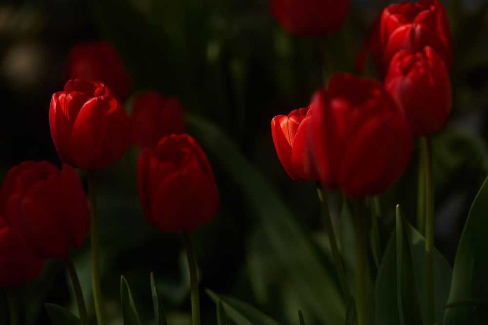 Photograph by Кристина Присакарь