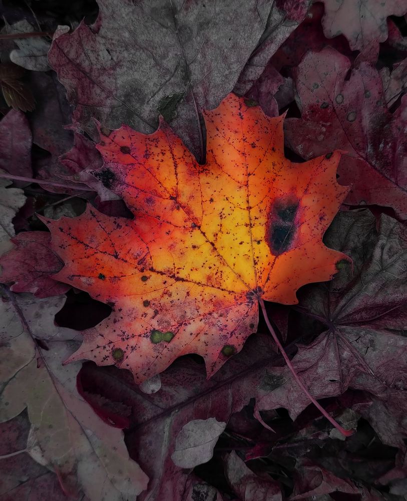 Photograph by Анастасия Семилетова