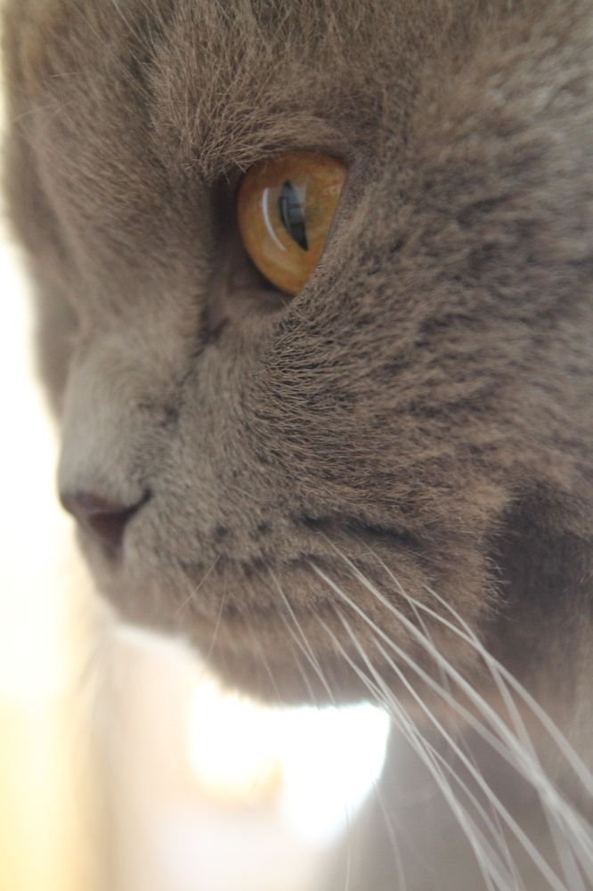 Photograph by Мария Раззувайло