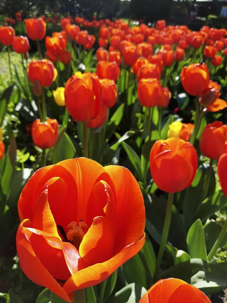 Photograph by Иван Логвинов