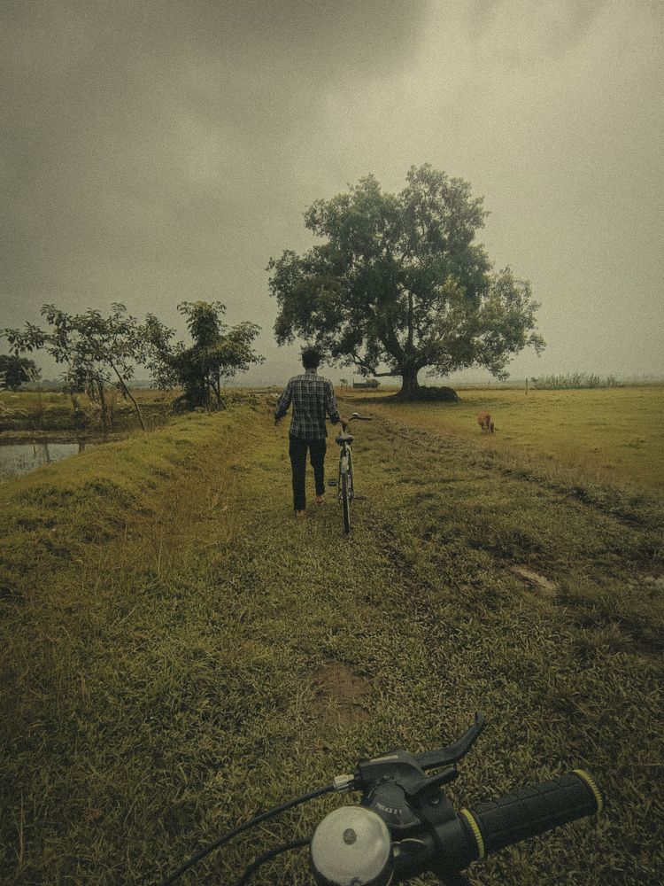 Photo #11187206