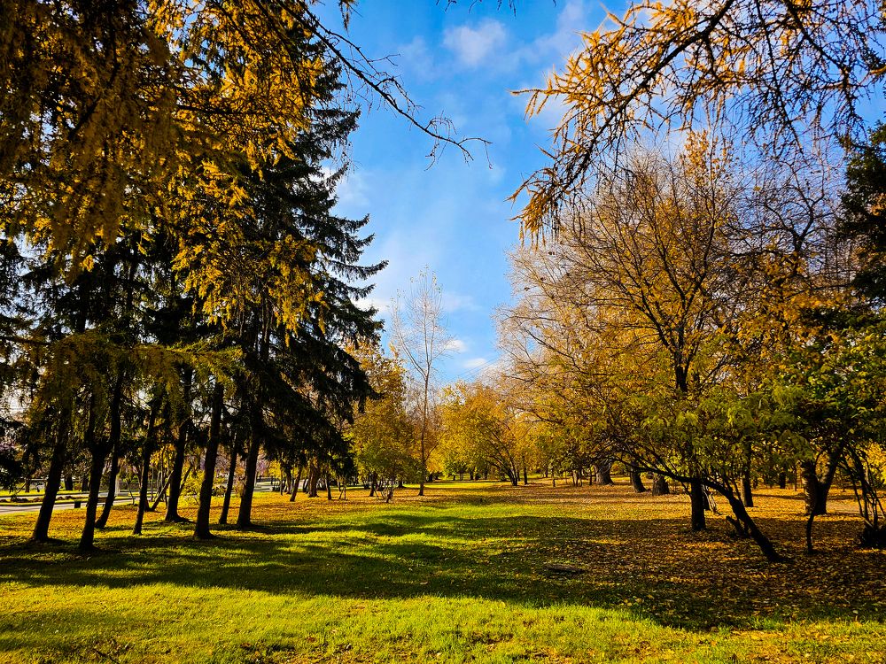 Фотография автора Максим Грибанов