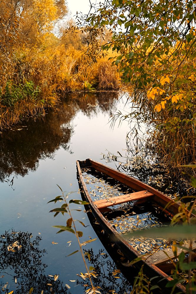 Photograph by Наталья Сергеева