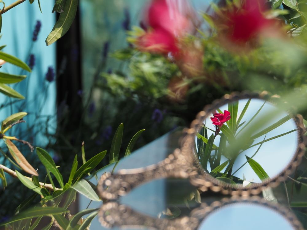 Photograph by Olga Nevedrova