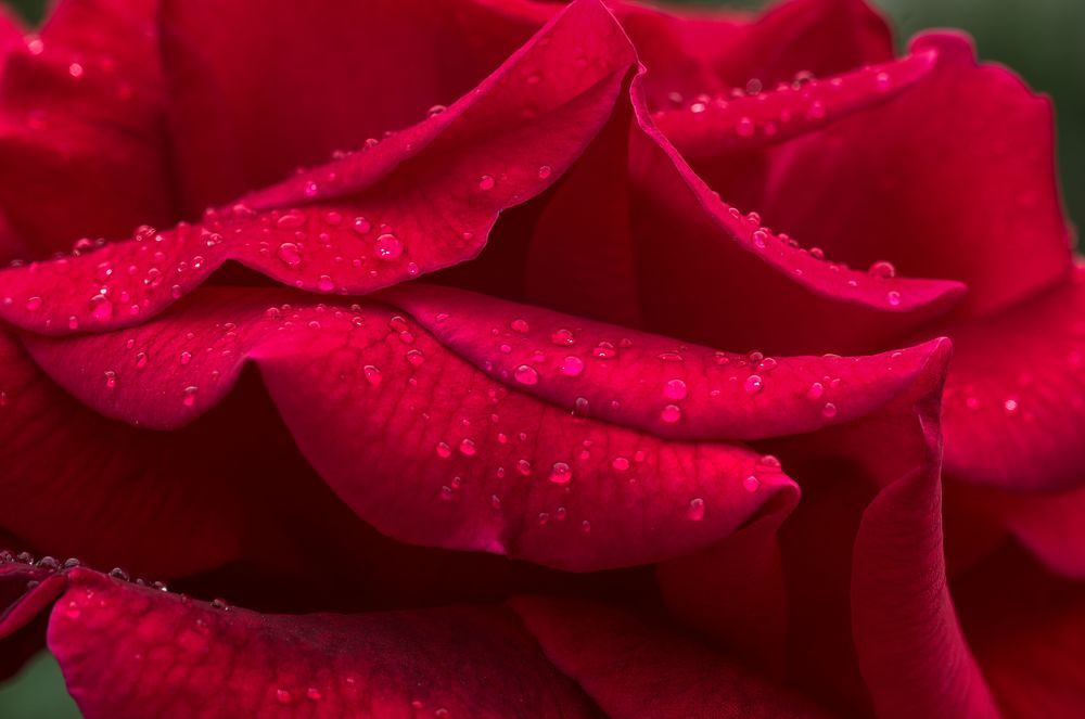 Photograph by Geo Lib