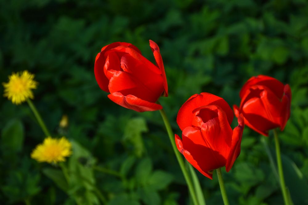 Photograph by Дмитрий Петров
