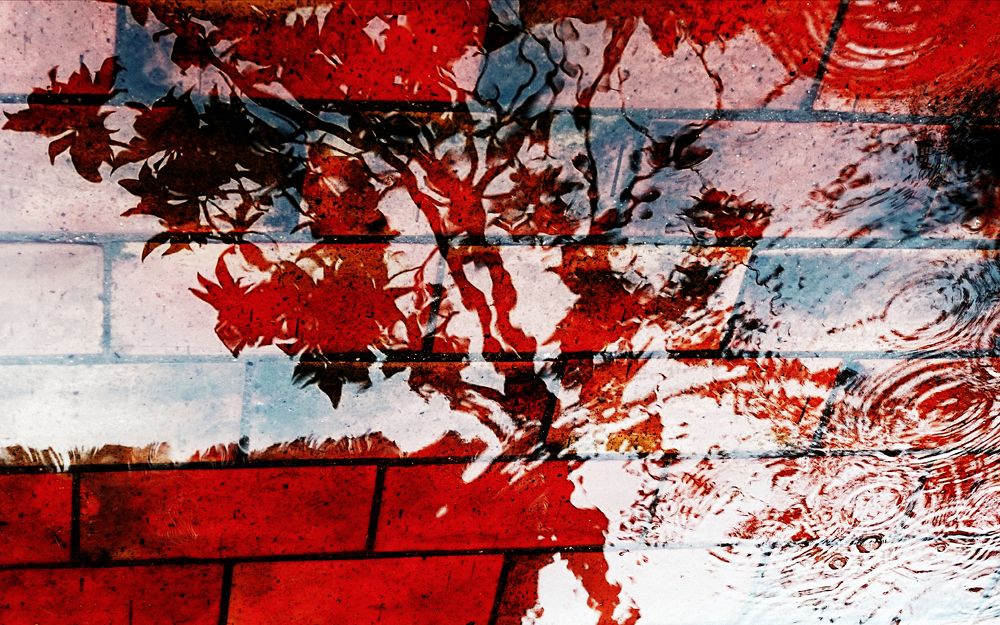 Фотография автора Ольга Лихтарь