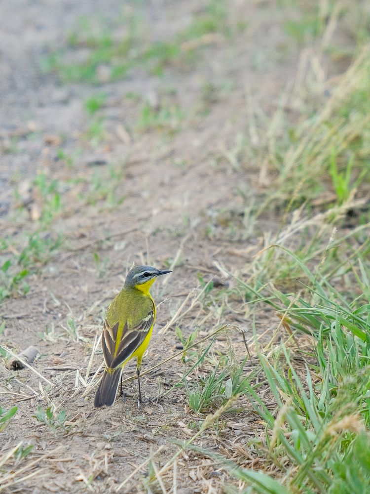 Photograph by Ирина Дегтярева