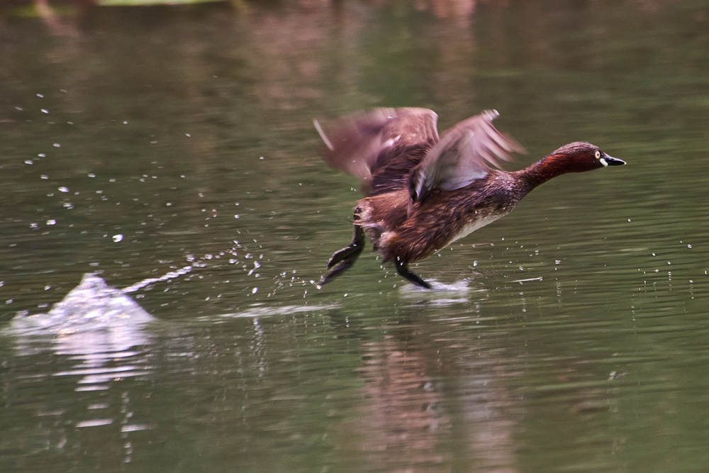 Photograph by Дмитрий Солодухин