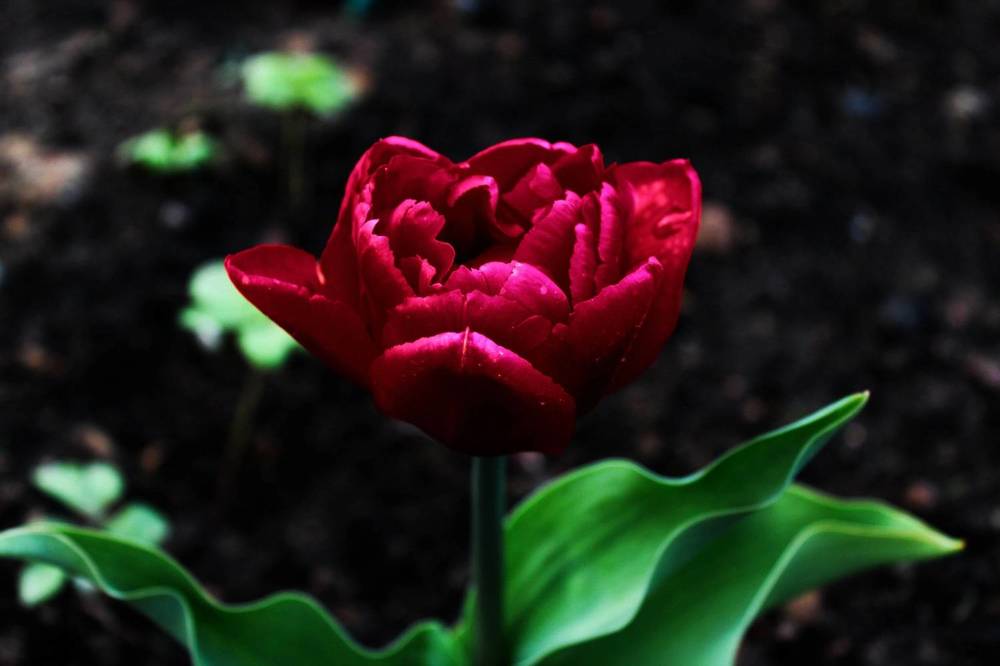 Photograph by Ирина Макарова