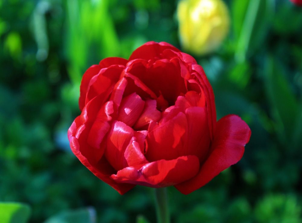 Photograph by Ирина Макарова