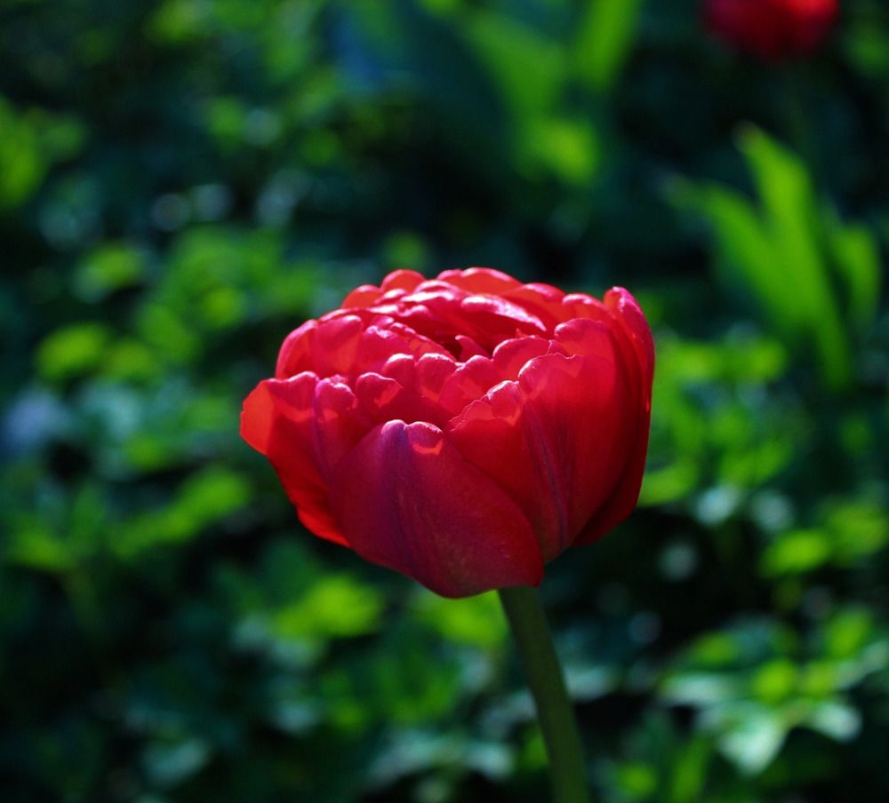 Photograph by Ирина Макарова