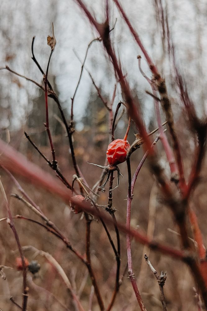 Фотография автора Мария Михайлова