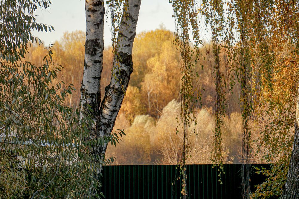 Photograph by Алфия Бугакова