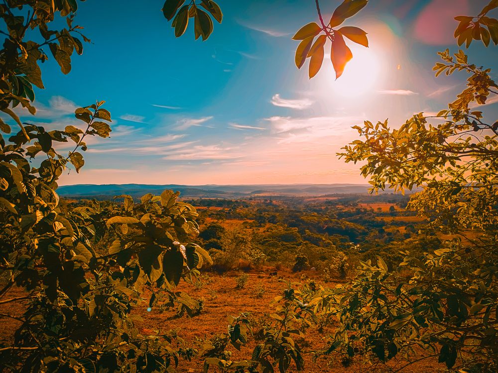 Photograph by Ricardo Patrese