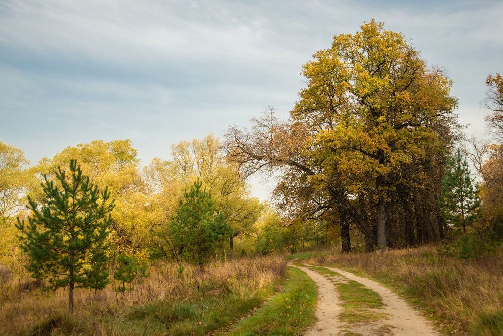 Photograph by Андрей Чуйков