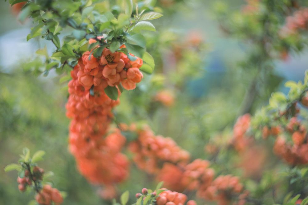 Photograph by Kirill Yakowlew