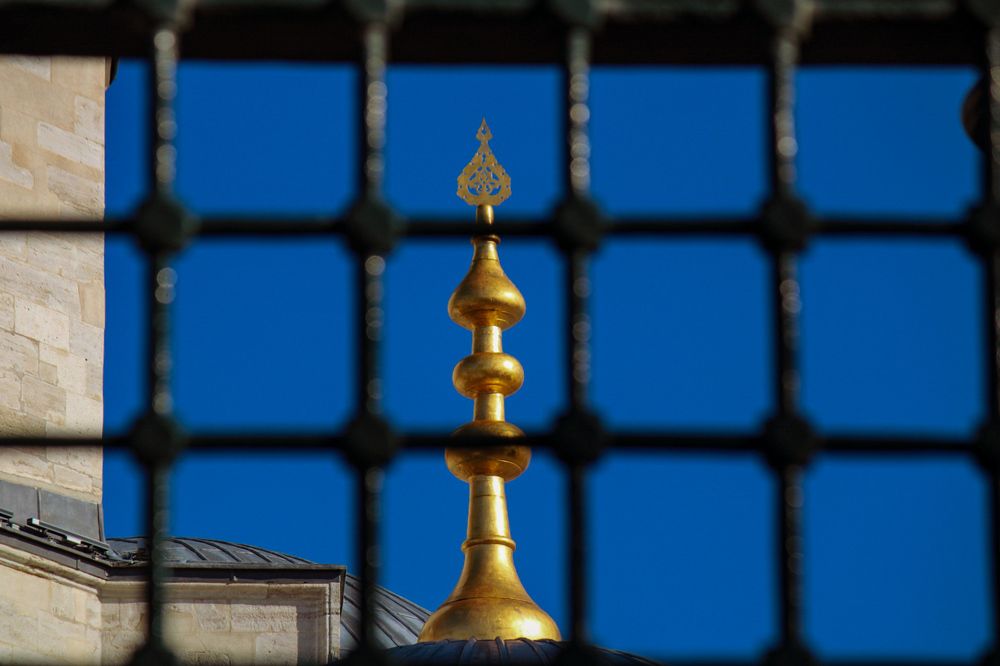 Photograph by Bojana Vein