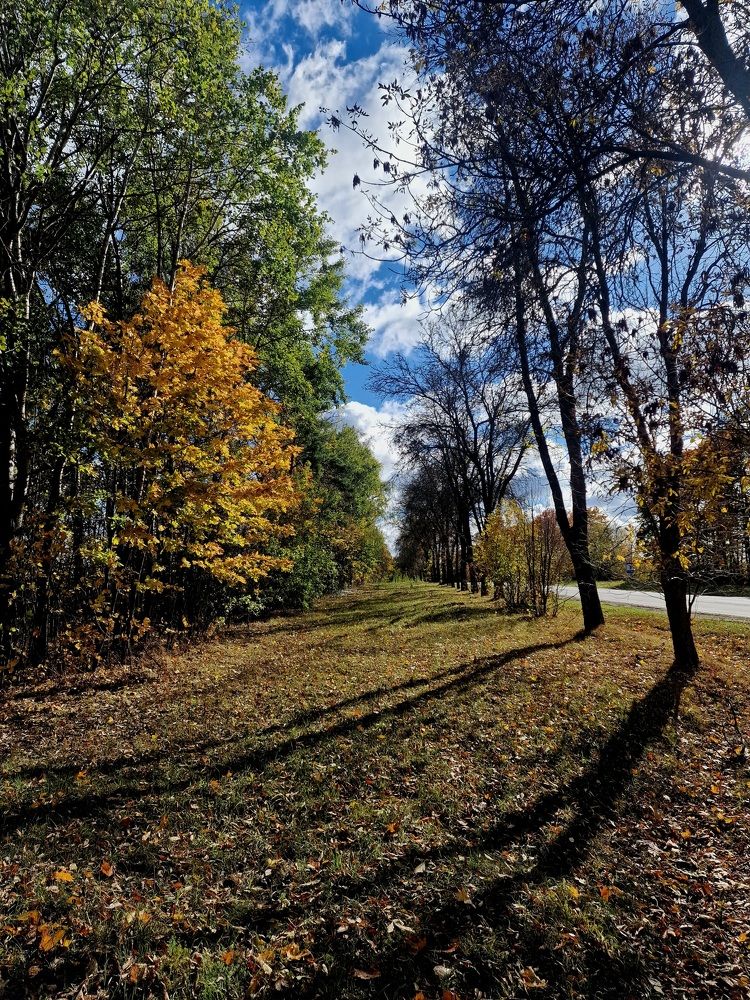 Фотография автора Maryna Pytliak