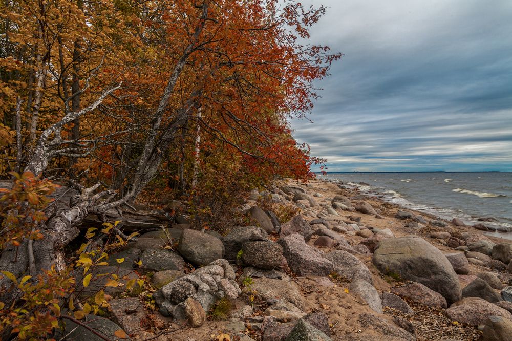 Photograph by Пимонов Сергей