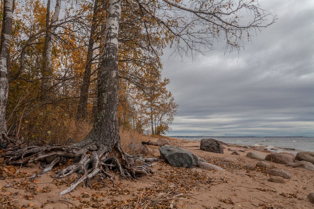 Photograph by Пимонов Сергей