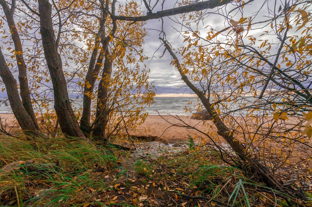 Photograph by Пимонов Сергей