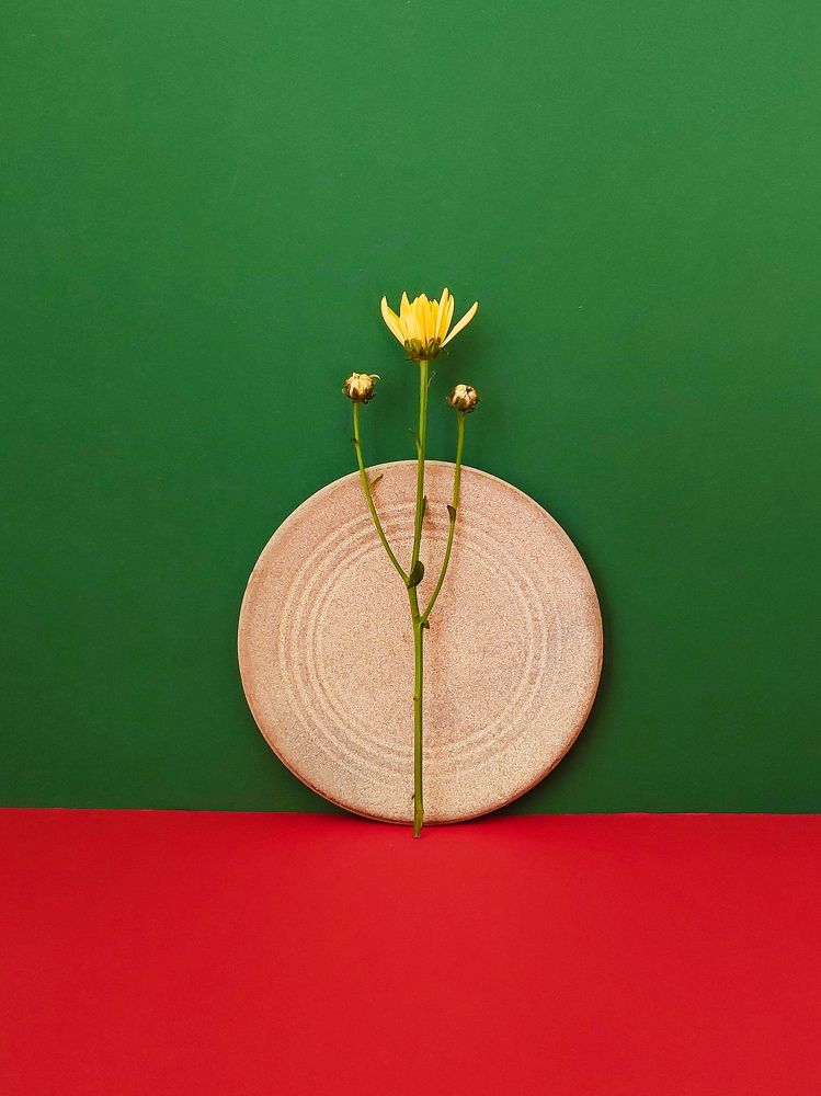 Photograph by Наталия Дроздова