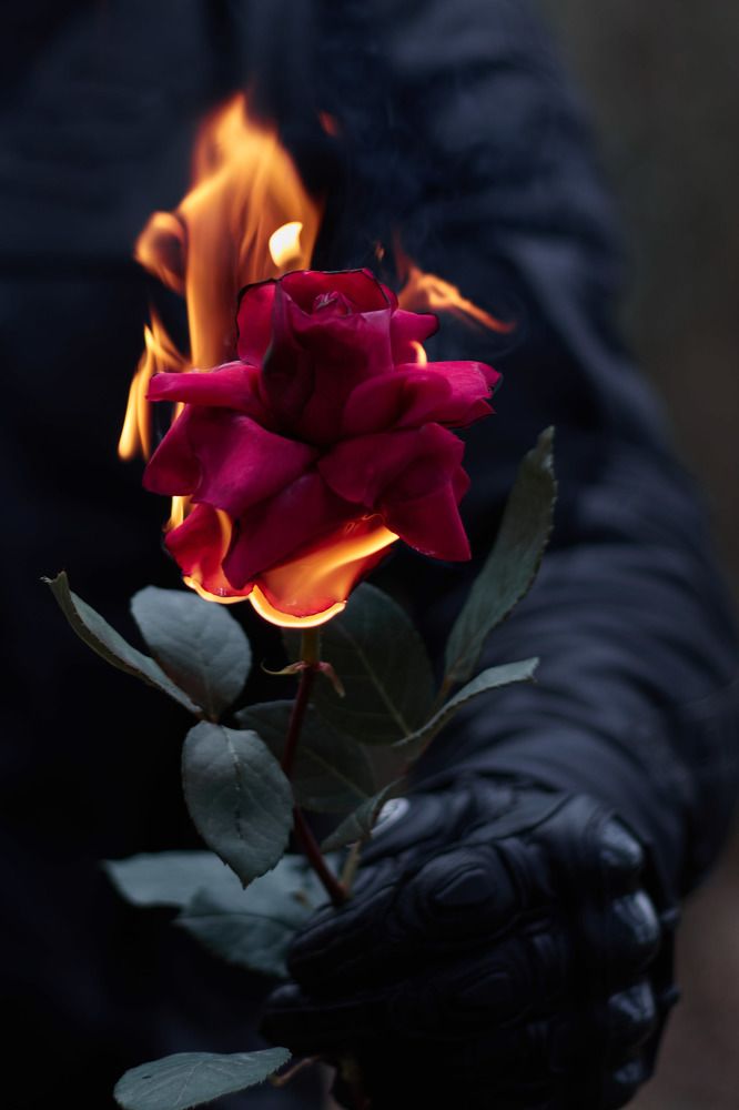 Photograph by Татьяна Полянская